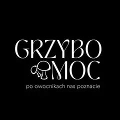 Grzybomoc Uprawa Grzybów Funkcjonalnych